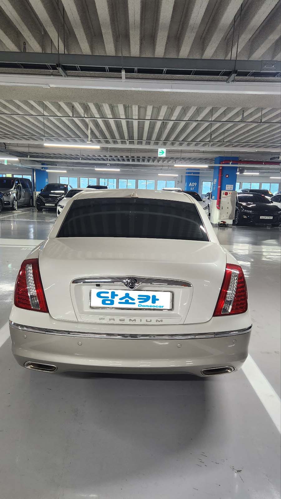 5t2m357025lr.jpg