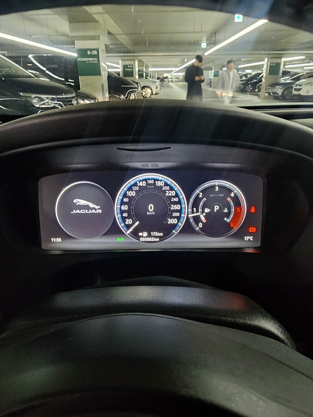 2z5rivvyevb0290722.jpg