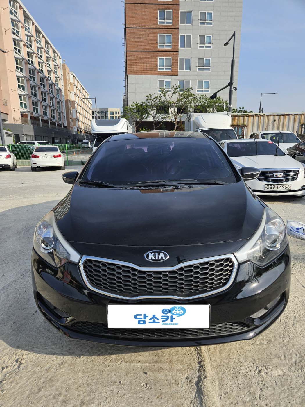 3yqbs3s9ex50664340.jpg
